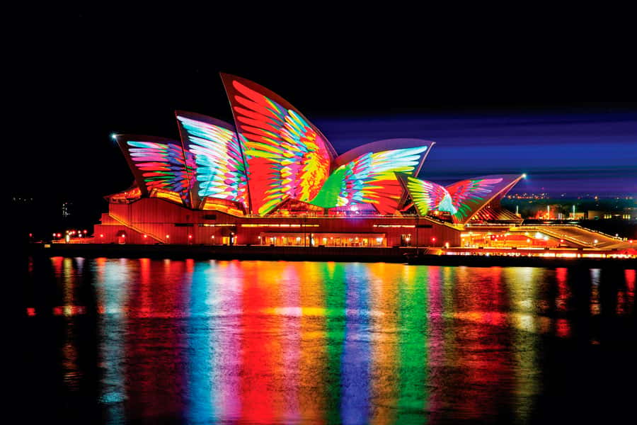 Sydney: Intimate Vivid Harbour Cruise with Canapes - What the 90 minutes looks like on the water