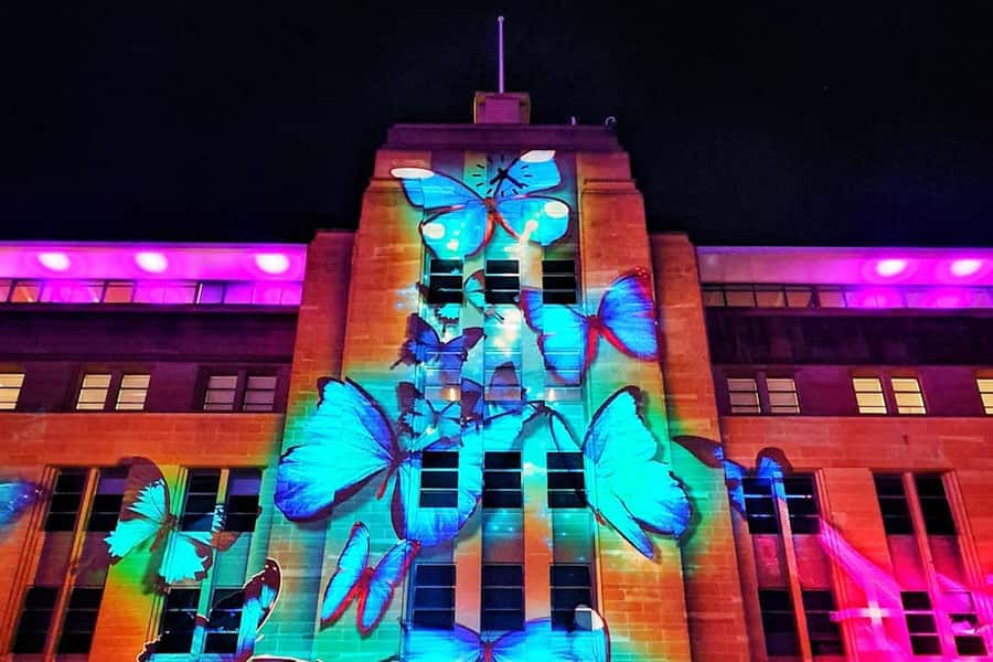Sydney: Intimate Vivid Harbour Cruise with Canapes - Photo-friendly viewing without the worst crowds