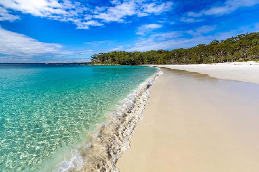 Sydney: Jervis Bay Day Trip with Dolphins, Roos & Beach Time - The Real Schedule: Timing, Bus Time, and Why It Works