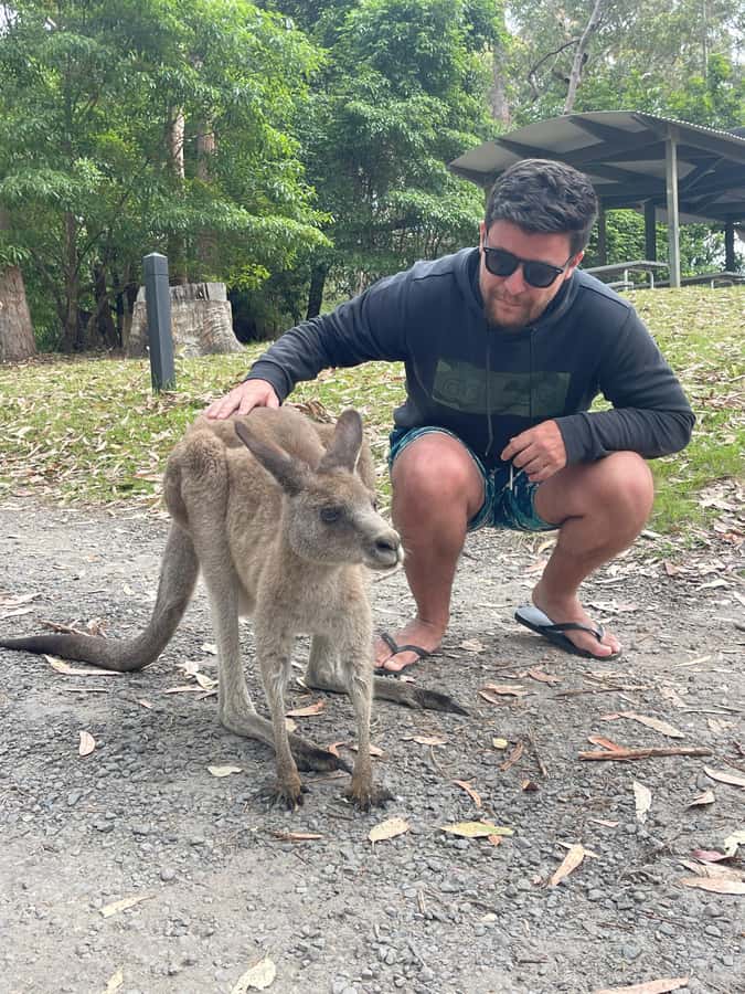 Sydney: Jervis Bay Day Trip with Dolphins, Roos & Beach Time - Weather and Sea Conditions: Jervis Bay Will Do Its Own Thing