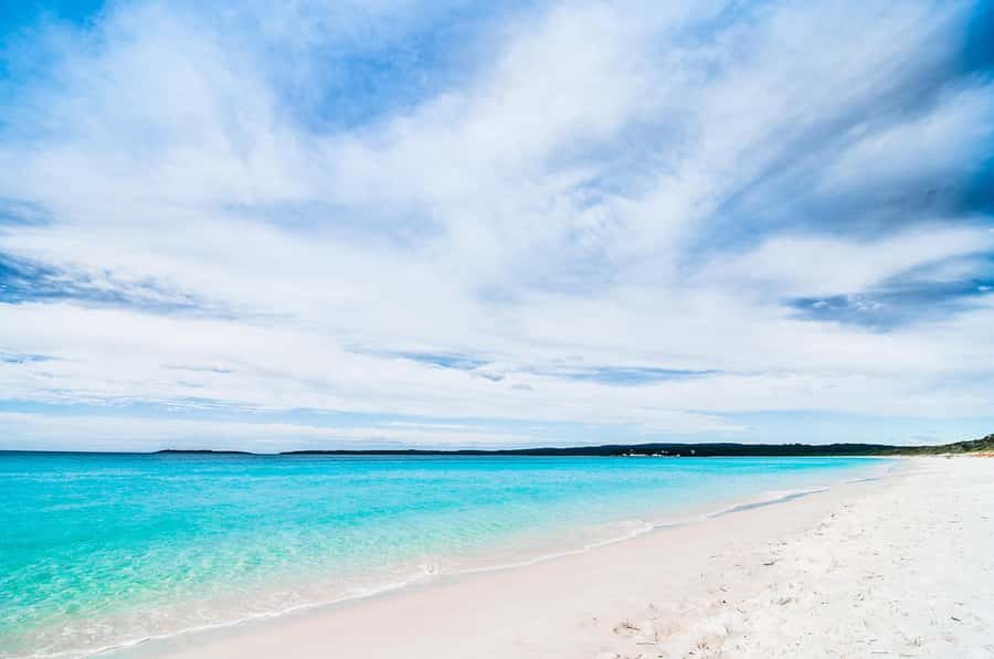 Sydney: Jervis Bay Day Trip with Dolphins, Roos & Beach Time - What You Pay $120 For, and Whether It Feels Like Value