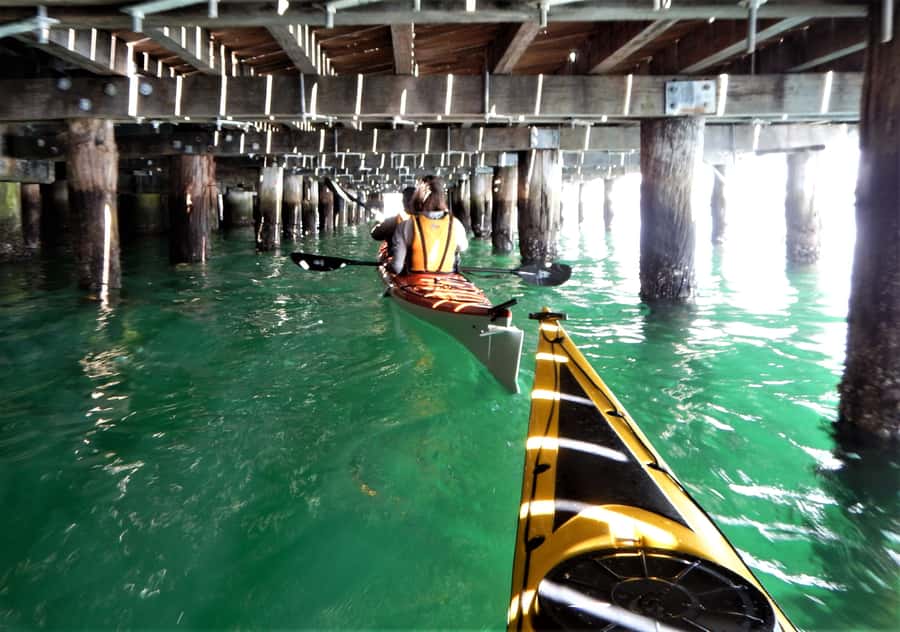 Sydney: Kayak to Goat Island At The Heart of Sydney Harbour - Who should book this harbor kayak trip, and who should skip it