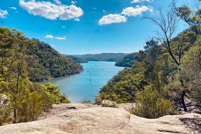 Sydney: Ku-ring-gai Chase National Park with Hike, Swim, Picnic - Key highlights