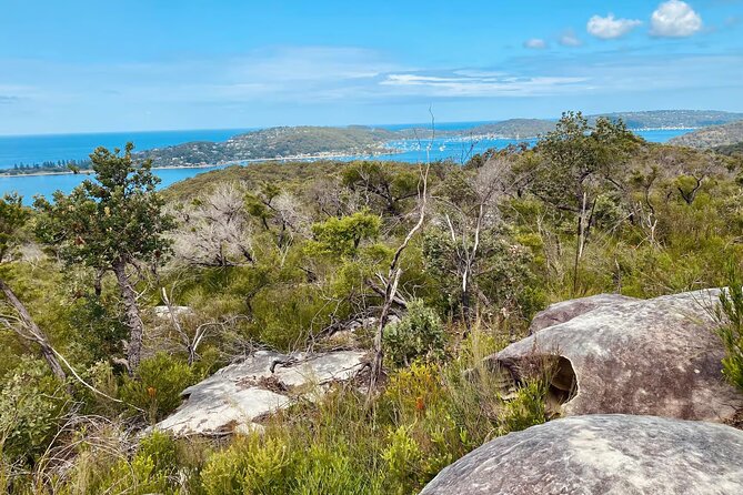 Sydney: Ku-ring-gai Chase National Park with Hike, Swim, Picnic - Why Ku-ring-gai Chase National Park Feels Like a Real Break