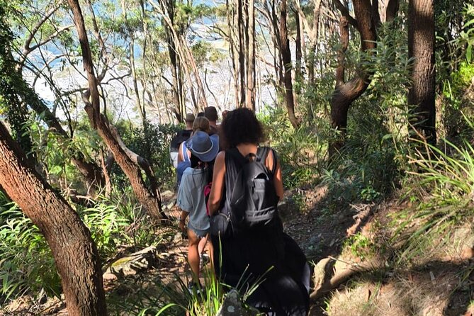 Sydney: Ku-ring-gai Chase National Park with Hike, Swim, Picnic - America Bay Lookout: Short Trail, Big Hawkesbury Views