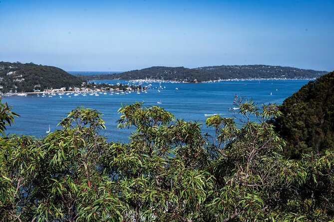 Sydney: Ku-ring-gai Chase National Park with Hike, Swim, Picnic - The Picnic Spread: A Real Meal Outdoors, Not Just Snacks