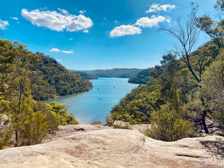 Sydney: Ku-ring-gai National Park with swim and picnic - Key points before you go