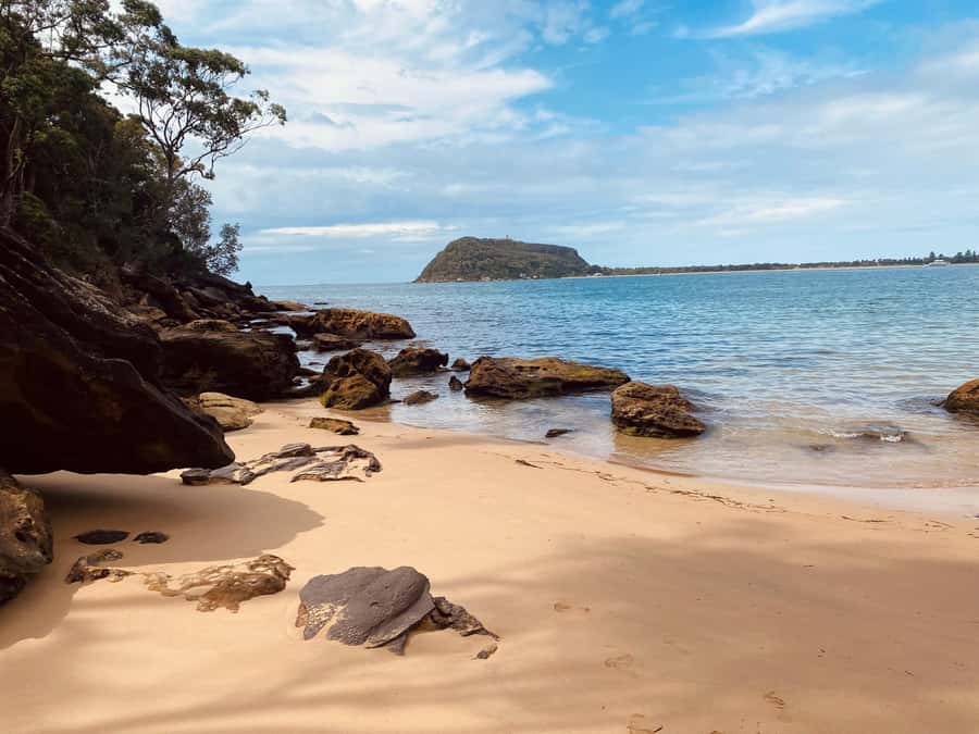 Sydney: Ku-ring-gai National Park with swim and picnic - Why Ku-ring-gai Chase feels like the Sydney you don’t see
