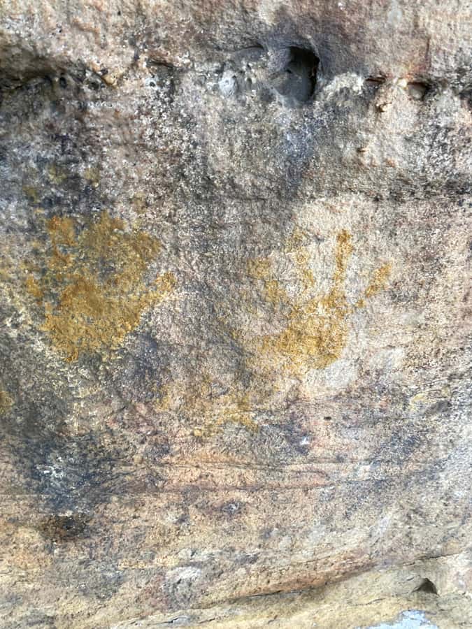 Sydney: Ku-ring-gai National Park with swim and picnic - Guided tour time and the Aboriginal rock engravings that change the tone