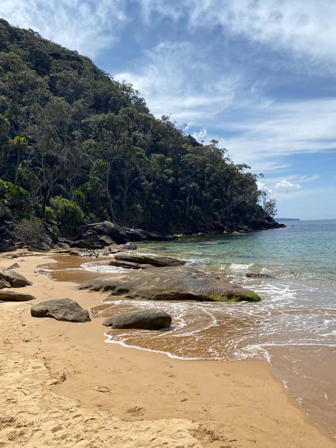 Sydney: Ku-ring-gai National Park with swim and picnic - Swim time at a hidden beach, and what happens when weather turns