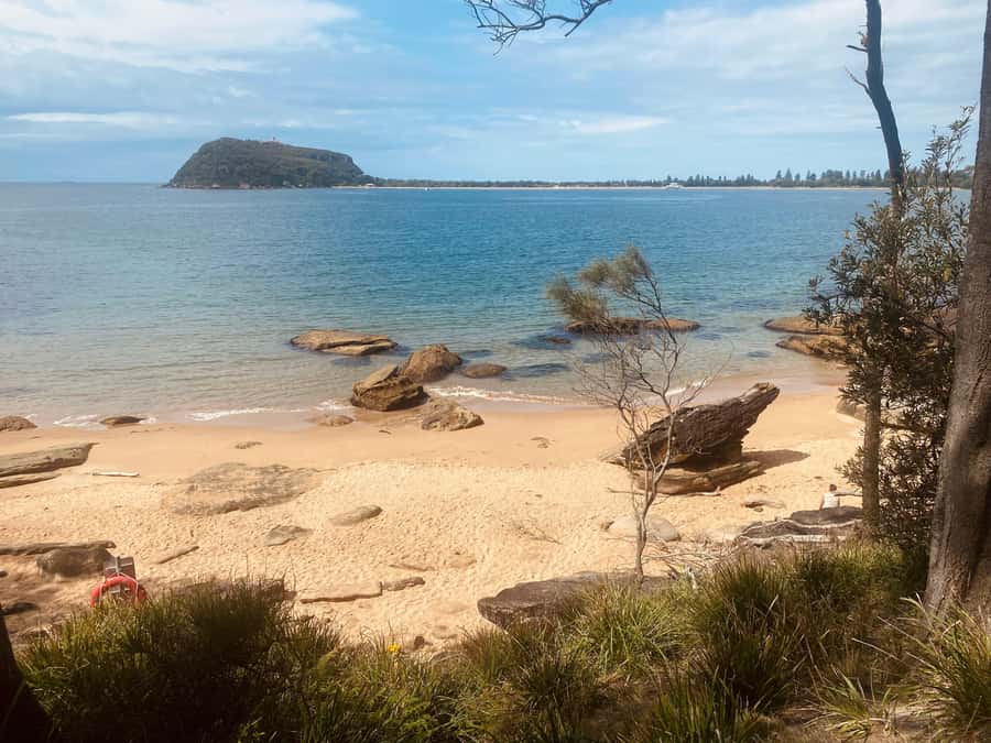 Sydney: Ku-ring-gai National Park with swim and picnic - Picnic break: local cheeses, fruit, olives, and kombucha outdoors