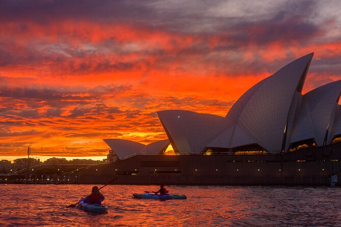 Sydney LED Lit Kayak Tour of the Opera House and Bridge - Stop 2: Harbour Bridge Views That Feel Close and Real