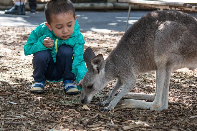 Sydney: Luxury Blue Mountains Adventure as a Small Group Day Tour - Featherdale Sydney Wildlife Park: The Best Start When You Like Animals