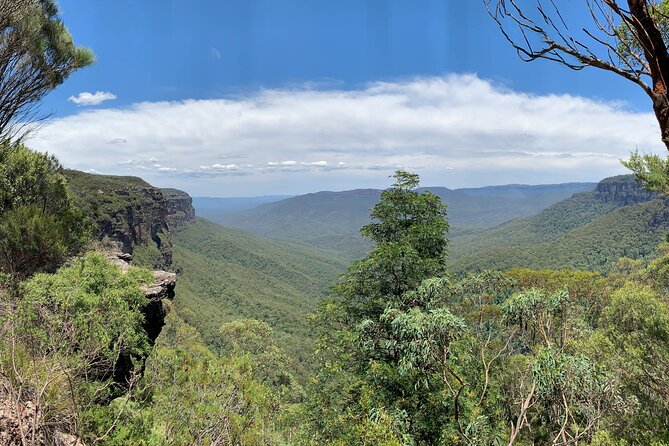 Sydney: Luxury Blue Mountains Adventure as a Small Group Day Tour - Wentworth Falls Guided Bushwalk: Waterfall Views With a Route That Keeps You Steady