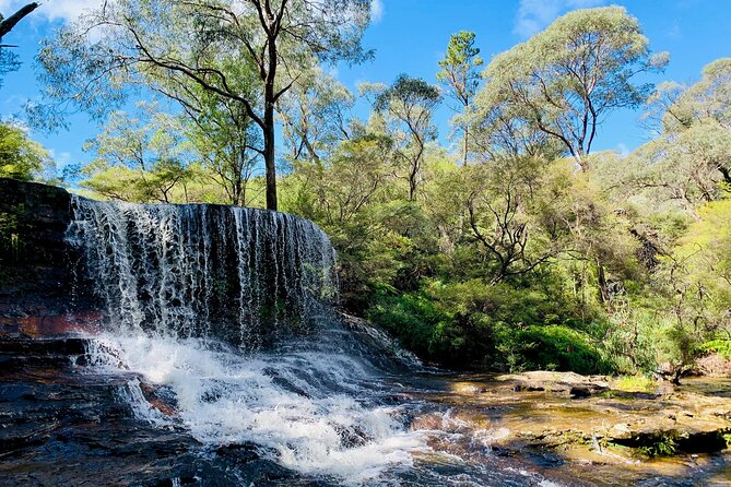 Sydney: Luxury Blue Mountains Adventure as a Small Group Day Tour - Echo Point Lookout and the Three Sisters: When the Light Helps