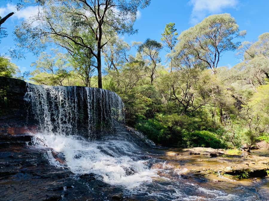 Sydney: Luxury Blue Mountains Adventure with Wentworth Falls - Small-group luxury, with a practical edge