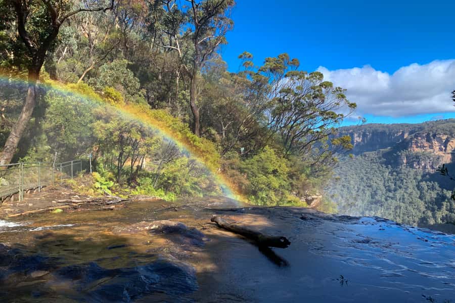 Sydney: Luxury Blue Mountains Adventure with Wentworth Falls - What the guide adds (and why people keep mentioning names)