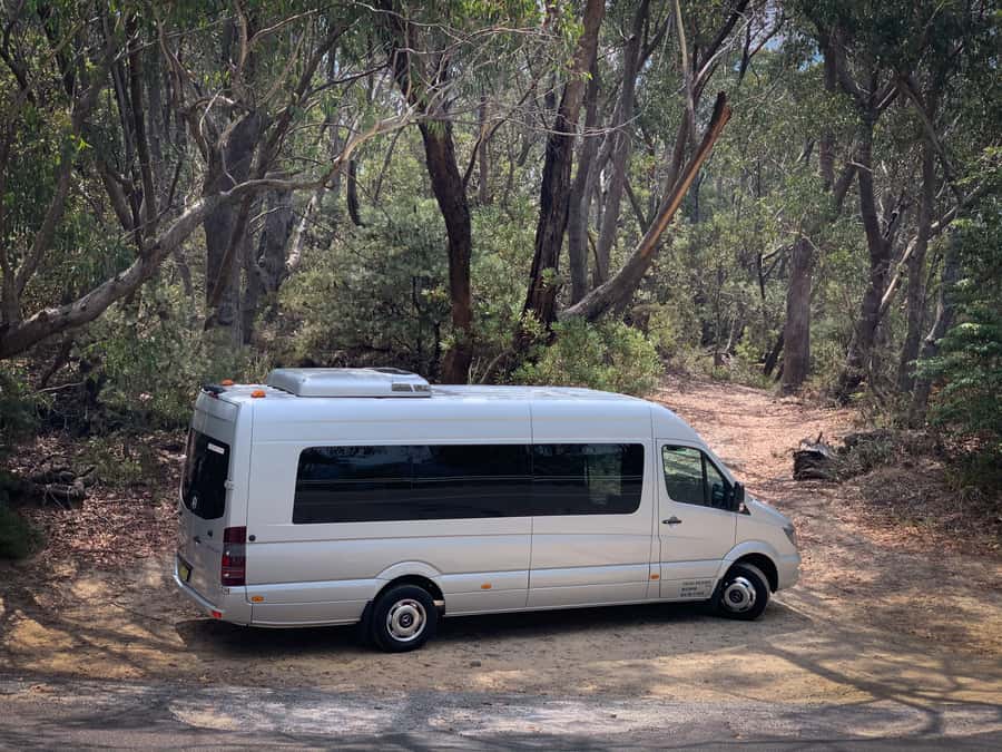 Sydney: Luxury Blue Mountains Adventure with Wentworth Falls - Who should book, and who should skip