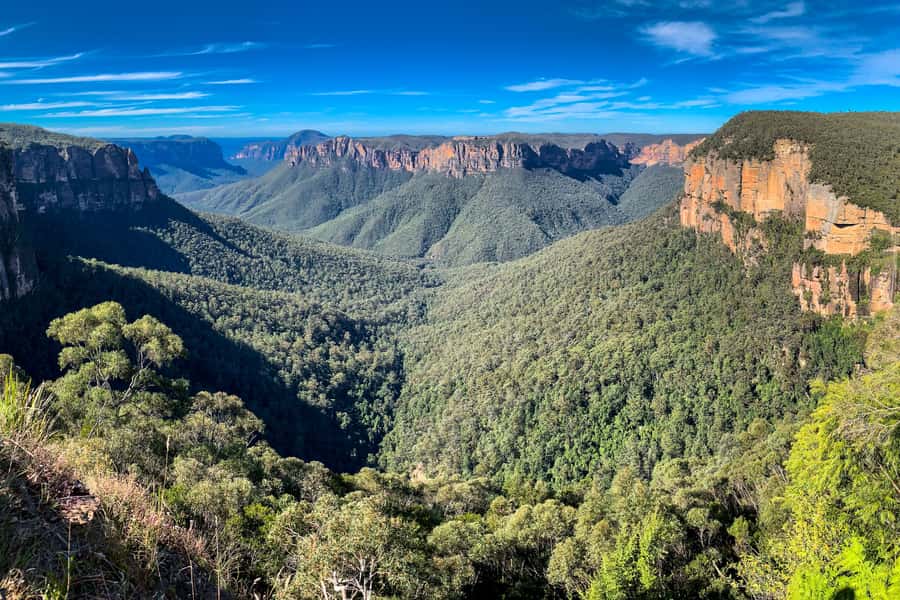 Sydney: Luxury Blue Mountains Adventure with Wentworth Falls - Featherdale Wildlife Park: up close with Australia’s icons