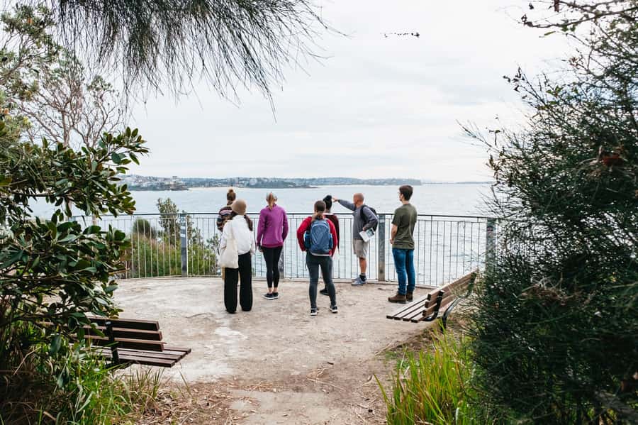 Sydney: Manly and Shelly Beach Snorkeling Tour - Why Manly and Shelly Beach fit snorkelers who want real wildlife