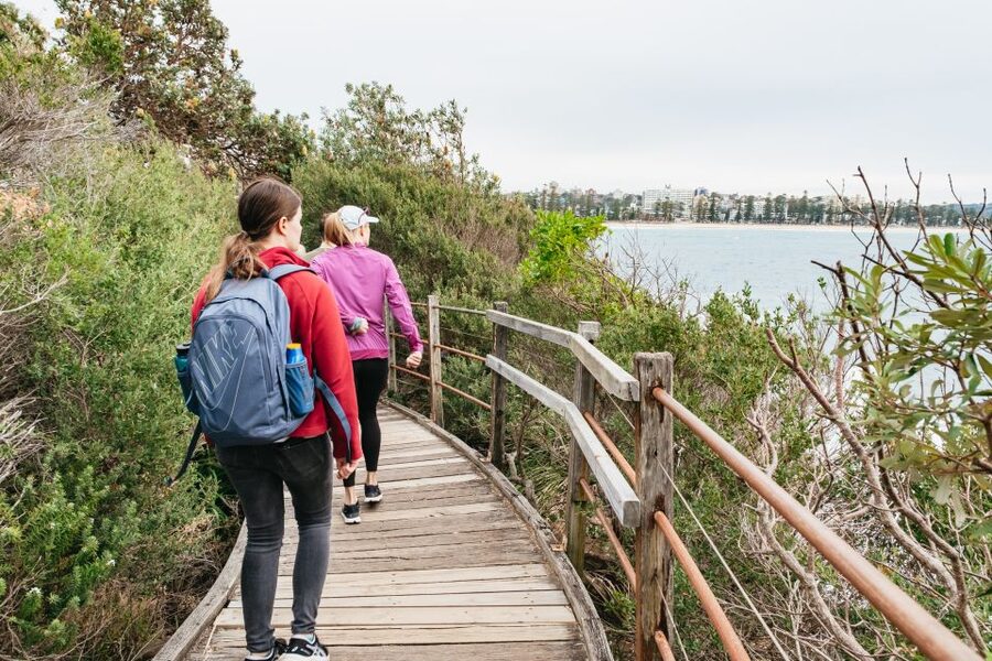 Sydney: Manly and Shelly Beach Snorkeling Tour - Snorkeling in the Cabbage Tree Bay Aquatic Reserve for 60 minutes