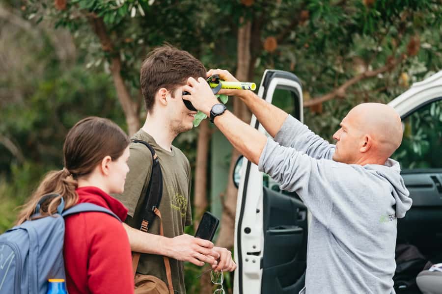 Sydney: Manly and Shelly Beach Snorkeling Tour - Price and value: why $77 can make sense for a short, wildlife-led tour