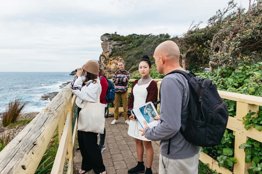 Sydney: Manly and Shelly Beach Snorkeling Tour - Who should book this Manly snorkeling tour, and who should skip it