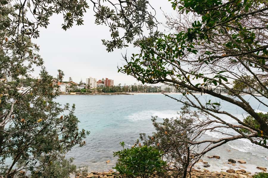 Sydney: Manly and Shelly Beach Snorkeling Tour - Should you book this tour?