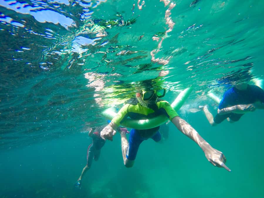 Sydney: Manly and Shelly Beach Snorkeling Tour - Getting started at Shelly Beach, before you even snorkel