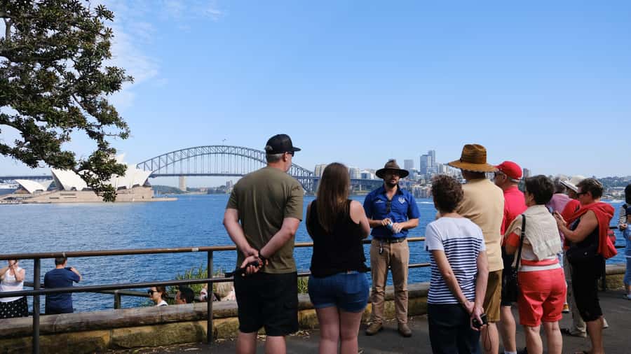 Sydney: Morning Sightseeing Bus to Bondi with Lunch Cruise - Circular Quay harbor lunch cruise: buffet, drinks package, and narration