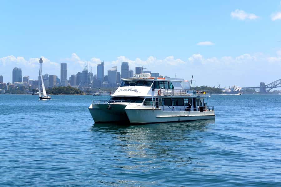 Sydney: Morning Sightseeing Bus to Bondi with Lunch Cruise - Hotel pickup and the morning rhythm (7:30 to 8:00 window)