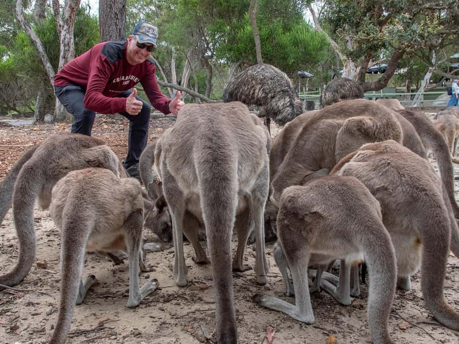 Sydney: Nature and Wildlife - Australia in One Day - Hawkesbury River coffee stop: a breather with scenery
