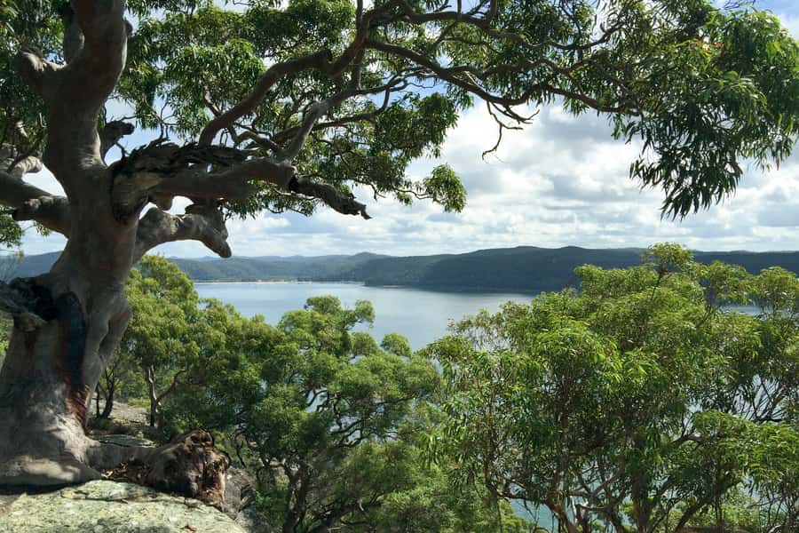 Sydney: Northern Beaches and Ku-ring-gai National Park Tour - Key things to know before you go