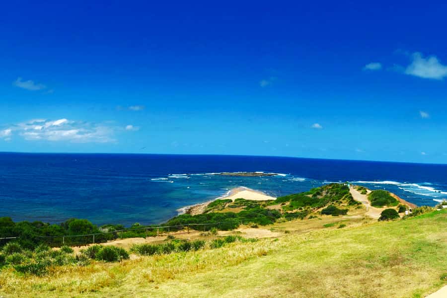 Sydney: Northern Beaches and Ku-ring-gai National Park Tour - Long Reef Headland and Narrabeen, built for surfers and photographers
