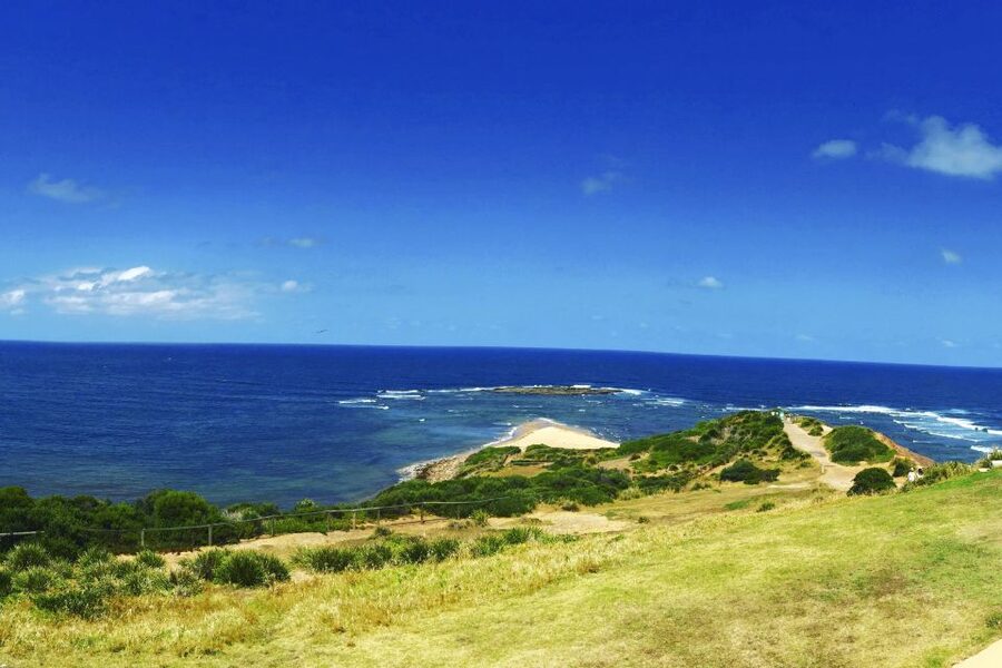 Sydney: Northern Beaches and Ku-ring-gai National Park Tour - Freshwater Beach and the origins-of-surfing moment