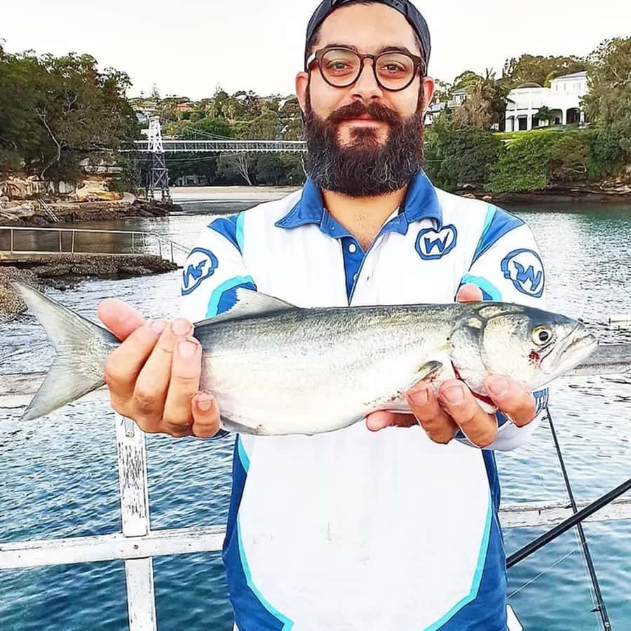 Sydney: Onshore Fishing Experience with Equipment - The 3-Hour Session: A Practical Flow You Can Expect
