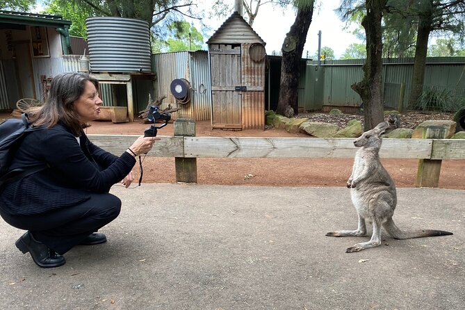 Sydney Opera House and Aussie Animals Private Tour - Key things I’d flag before you go