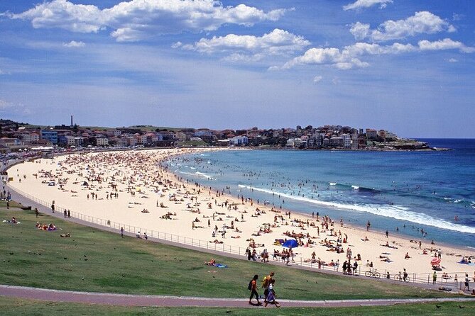 Sydney Port Private Departure Transfer: City Hotel to Cruise Port - Price and value: why $32.03 can make sense