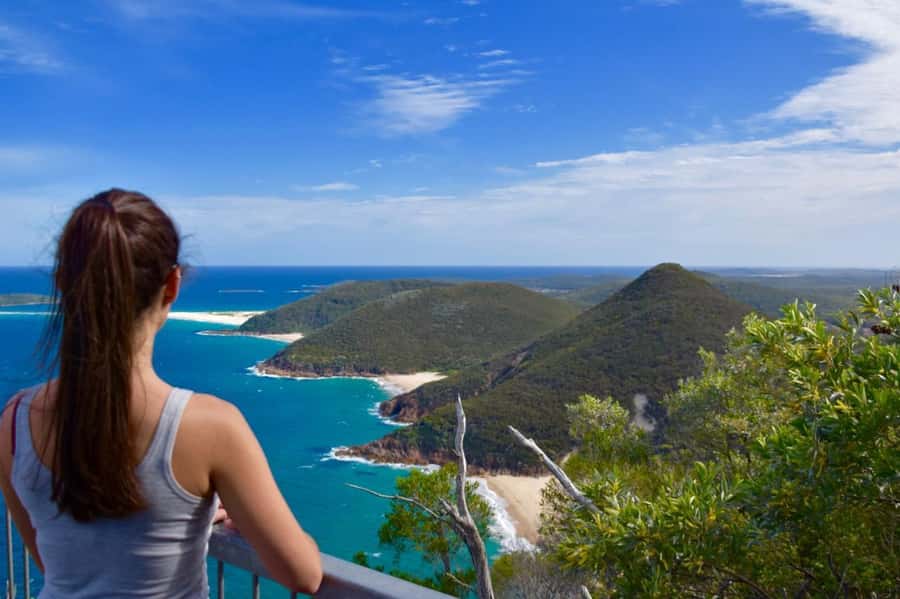 Sydney: Port Stephens Day Trip with Dolphin Cruise or Hike - Key highlights at a glance