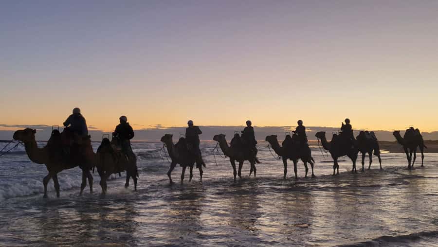 Sydney: Port Stephens Private Day Tour - Port Stephens in One Day, With a Private Driver and Real Options