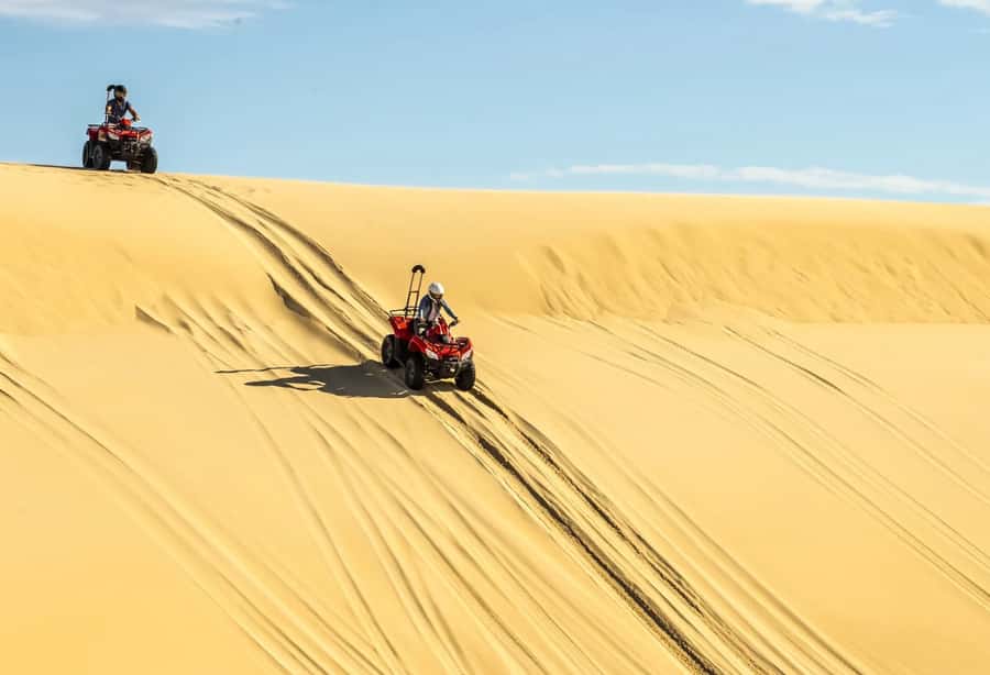 Sydney: Port Stephens Private Day Tour - Sydney Pickup and Custom Stops Along the Way