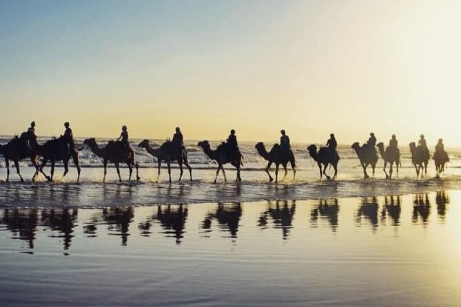 Sydney: Port Stephens Sandboarding, Dunes & Dolphin Cruise option - Nelson Bay Lunch and Harbour Time: Where You Reset Between Excursions