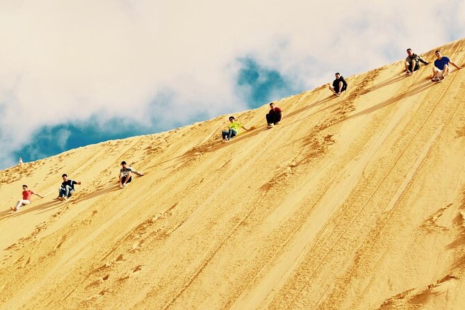 Sydney: Port Stephens Sandboarding, Dunes & Dolphin Cruise option - Sandboarding Tips for First-Timers (So You Enjoy It More)