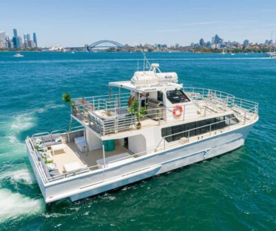 Premium Catamaran Vivid Cruise with Welcome Drink