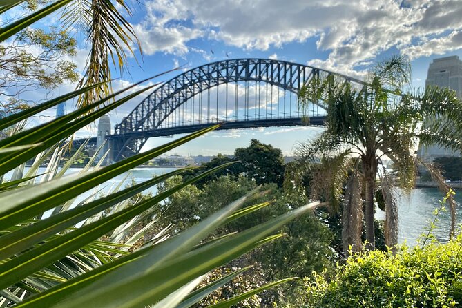 Sydney: PRIVATE City Highlights & Ocean Front Luxe Tour (4h) - The Gap lookout: the harbour in full drama mode