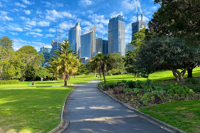 Sydney: PRIVATE City Highlights & Ocean Front Luxe Tour (4h) - Darling Harbour and Paddington: restored Victorian charm to modern waterfront