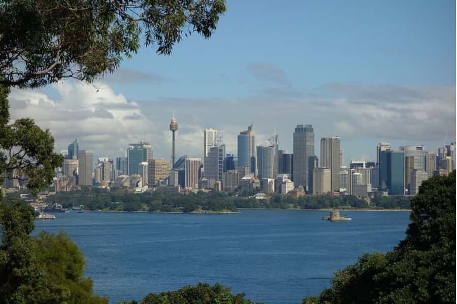 Sydney: Private custom tour with a local guide - How “Private and Custom” Really Changes Your Day