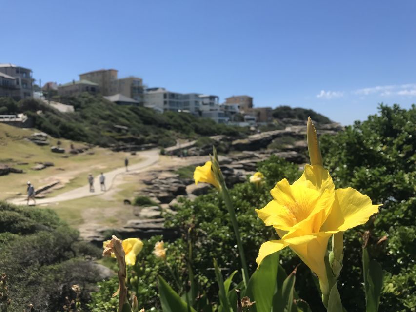 Sydney: Private Custom Tour with a Local – Icons & Gems - Going beyond the obvious: how New Town fits in