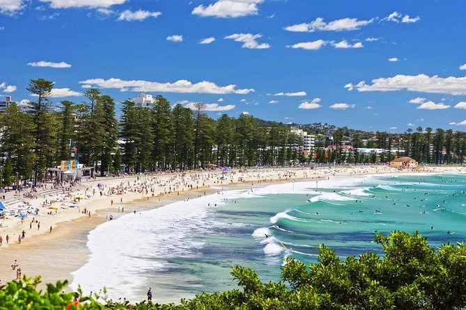 Sydney Private Day Tours | See Sydney in Style | 8 Hour Luxury Private Tour - Hotel pickup, comfort, and the guides who make it feel personal