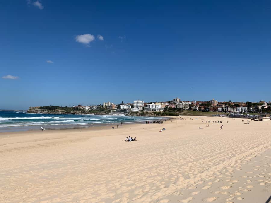 Sydney: Private Half or Full-Day Sightseeing Tour - The Rocks and Mrs Macquarie’s Chair, start with Sydney’s soul